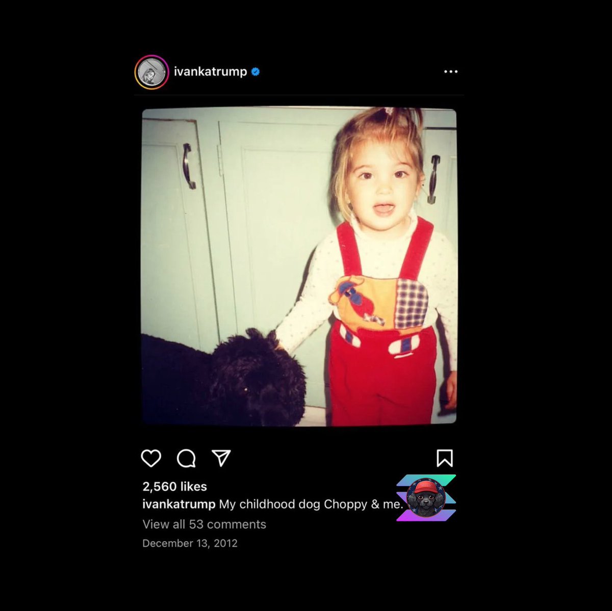 @AllenCryptoUSA Trumps dog #Choppy on #Solana. We've been grinding since March, cto. Base on Ivanka Trump IG post of thier puppy.

ca:
HyC88nKxLcBHdhxNN7eooDrFNnatd3FCtoXKpevTepeF