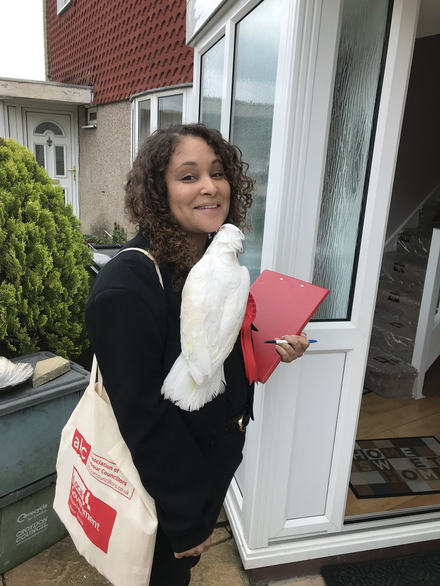 Overwhelmingly positive response on the doorstep from the bird community #birdsforlabour 🌹