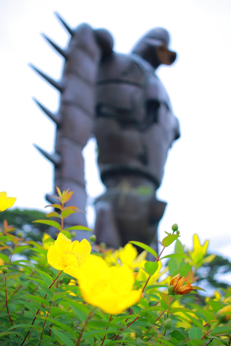 noritabi317's tweet photo. 迷子になって来ました
#三鷹の森ジブリ美術館
#ファインダー越しの私の世界 
#キリトリセカイ
#カメラ女子 
#写真の奏でる私の世界 https://t.co/rtPInRWr1C