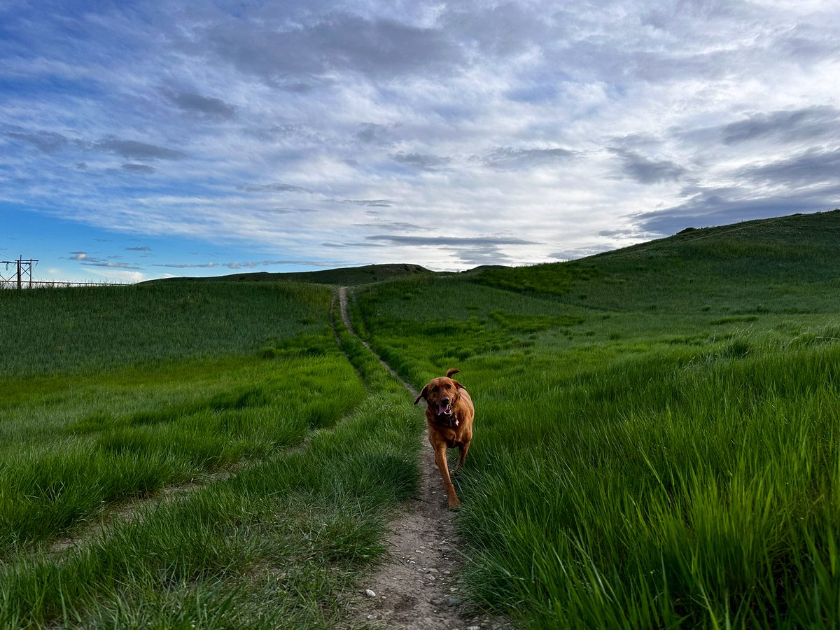 steveplusc's tweet image. Best way to start the day.