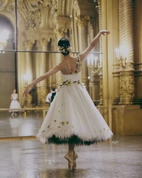 Ballet 🩰 Gallery.