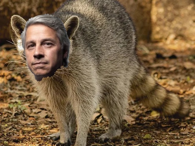 🦝CLAUDIO MAPACHE🦝 Este mensaje del furioso @ClaudioXGG de @MXvsCORRUPCION VIOLA LA VEDA ELECTORAL Exigimos CASTIGO EJEMPLAR @INEMexico @MartinFazMora @DaniaRavel @C_Humphrey_J @NormaIreneD #ClaudioXMapacheElectoral