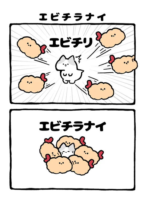 エビチラナイ 