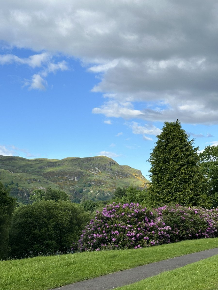 Scottish Neonatal Nurses' Group 💙 tweet media