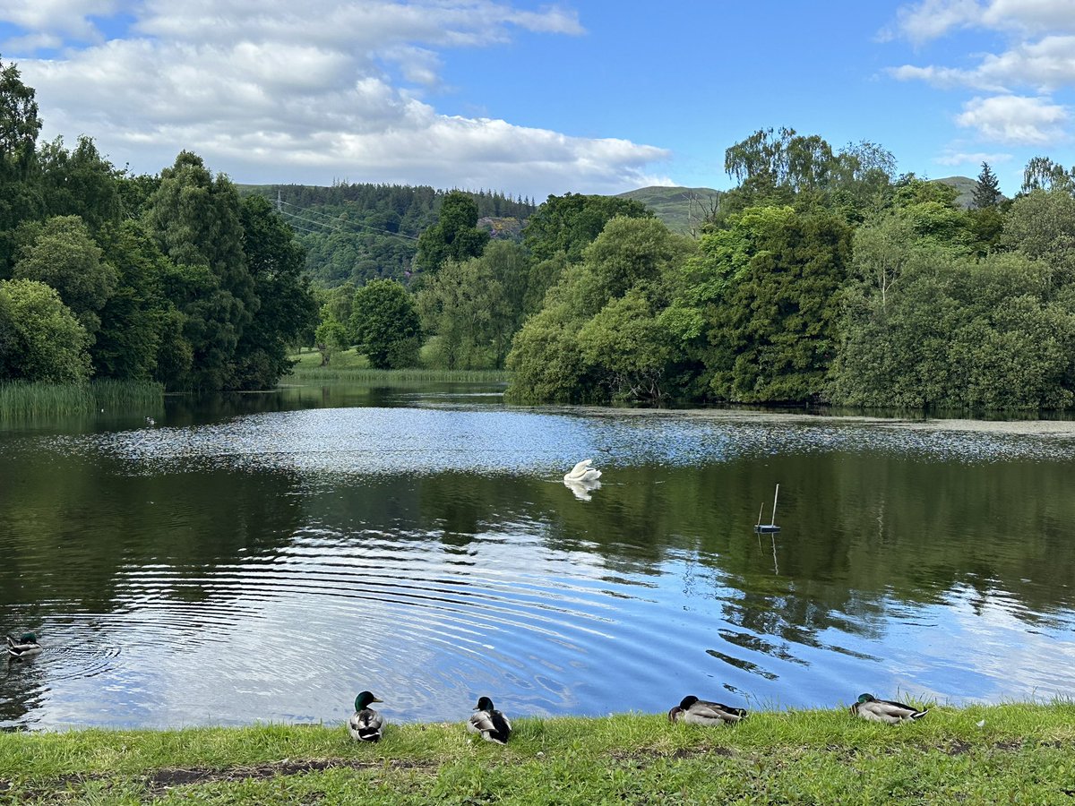 Beautiful setting for the SNNG conference 2024 Looking forward to welcoming everyone #tomorrow #SNNGconf24