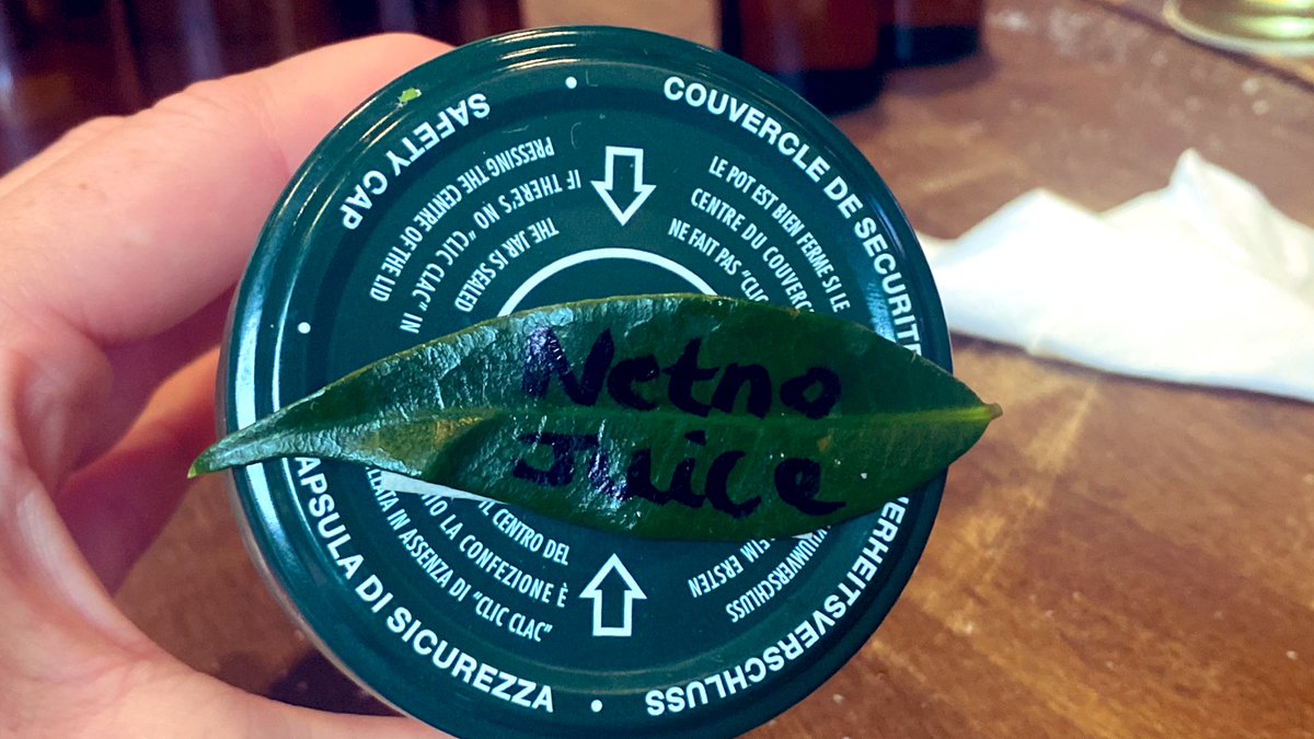 Introducing “Netno Juice” - A wonderful experiential workshop where we made  our own sustainable natural detergent #NETNOCON24