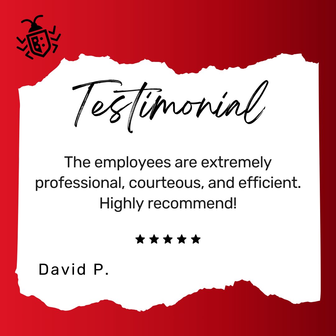 PalmettoExandMC's tweet image. Thanks, David for sharing your thoughts. We love hearing from happy customers.

#pestcontrol #localexterminator #palmettoexterminators #homepestcontrol #residentialpestcontrol #termitecontrol #mosquitocontrol