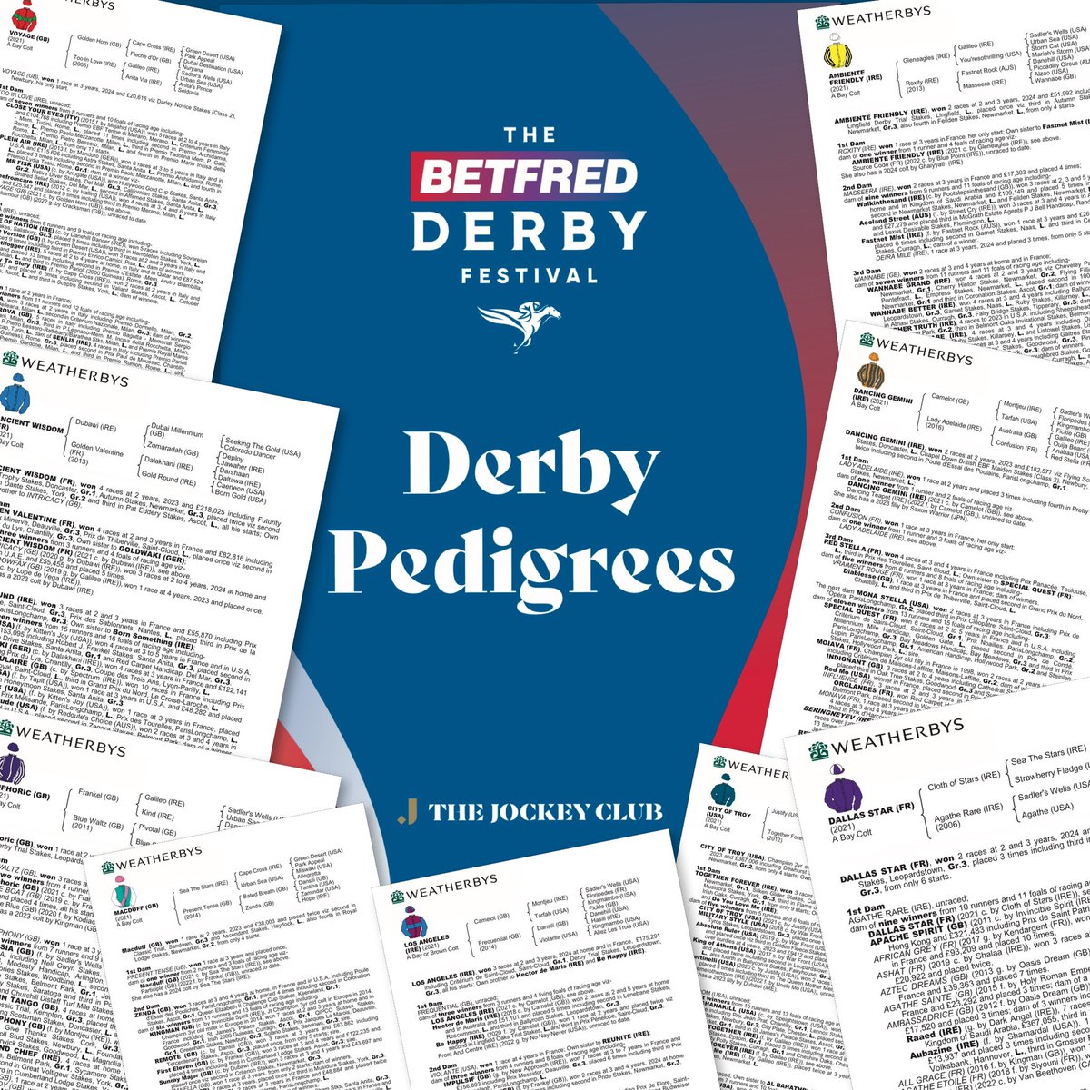To add even more depth and detail to the @Betfred Derby picture the Weatherbys Bloodstock team have researched and edited the pedigrees of all 16 declared horses in the race. We have brought these together in a digital turn-page format which we hope you’ll enjoy 👉🏻