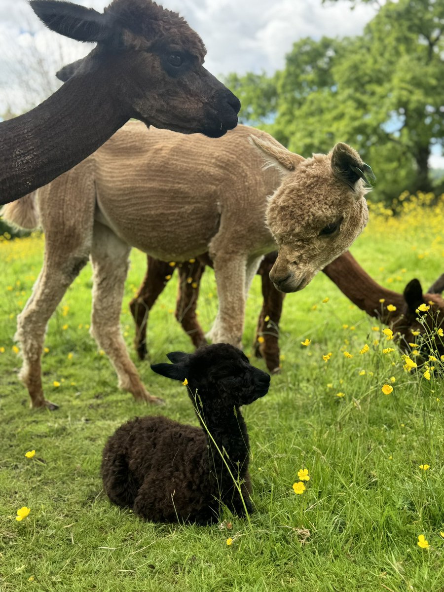 Karen May tweet media