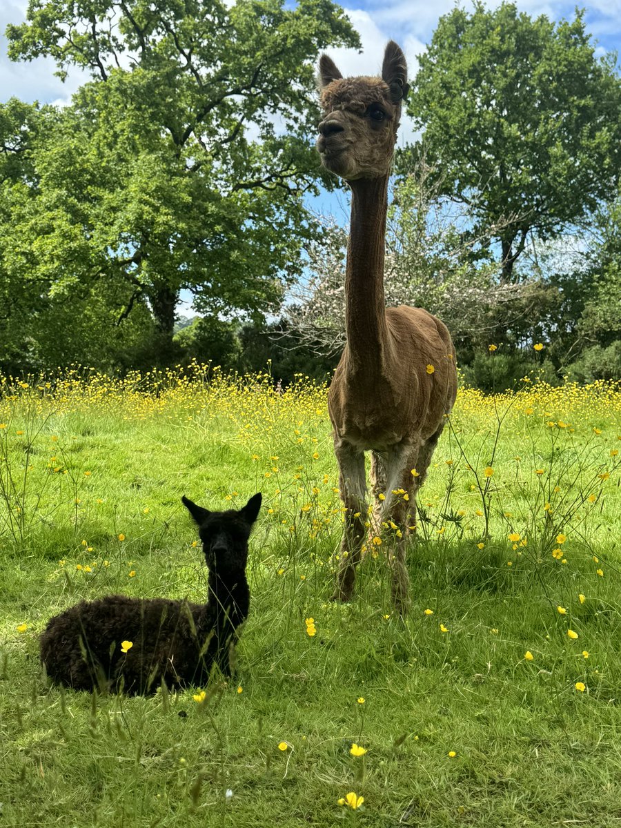 Karen May tweet media