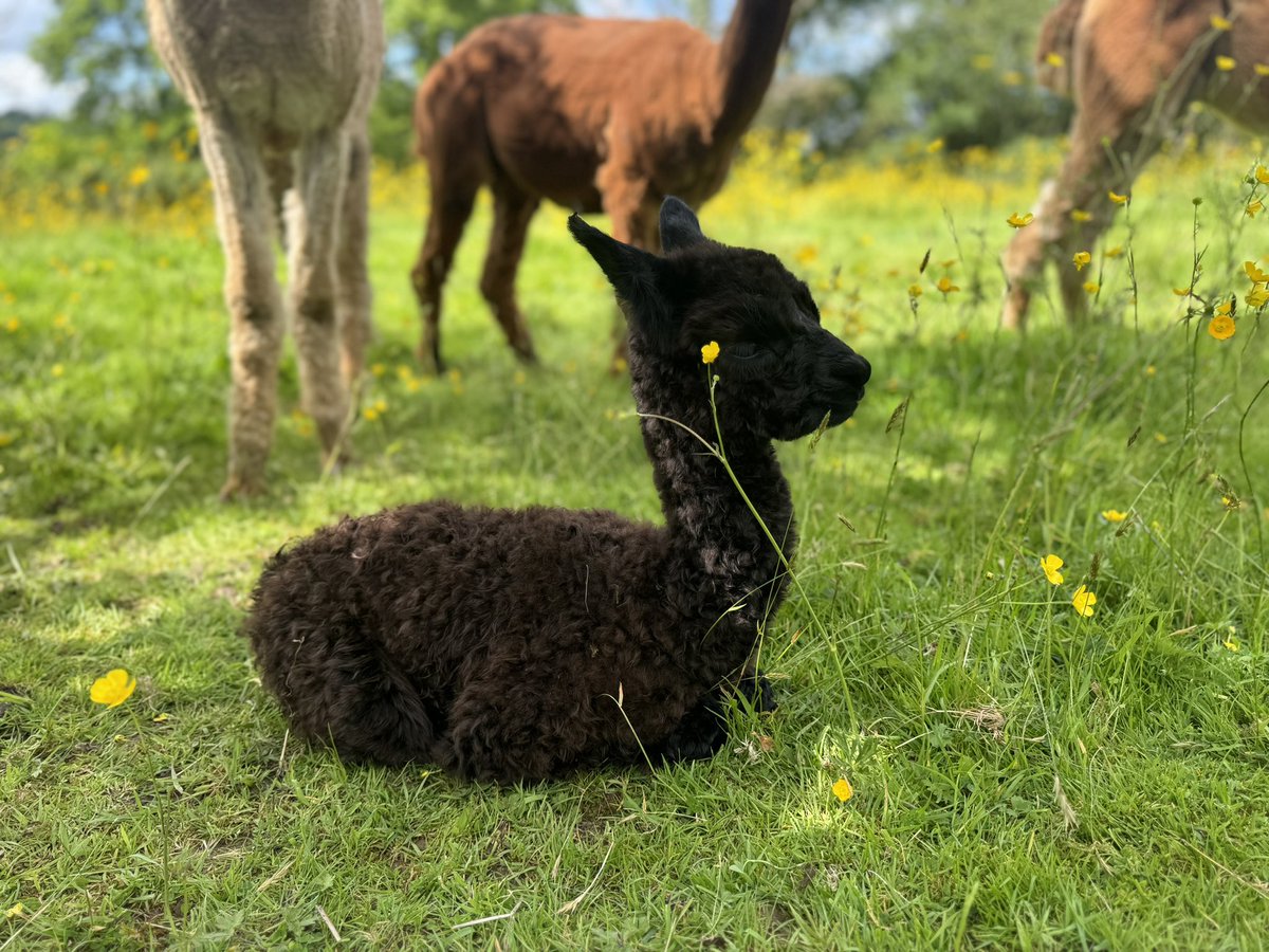 Karen May tweet media