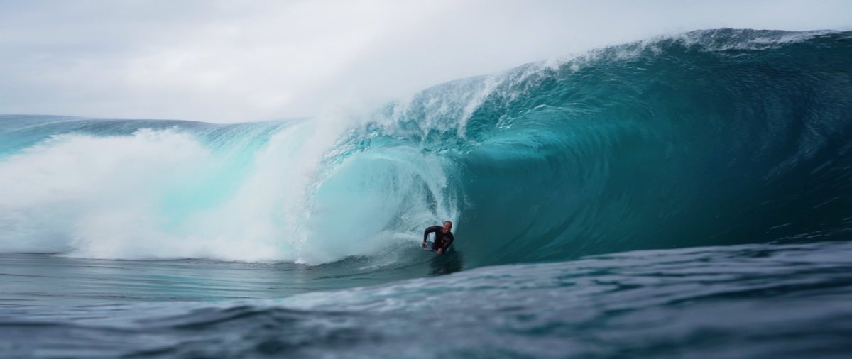 #FlashSurfing® tweet media