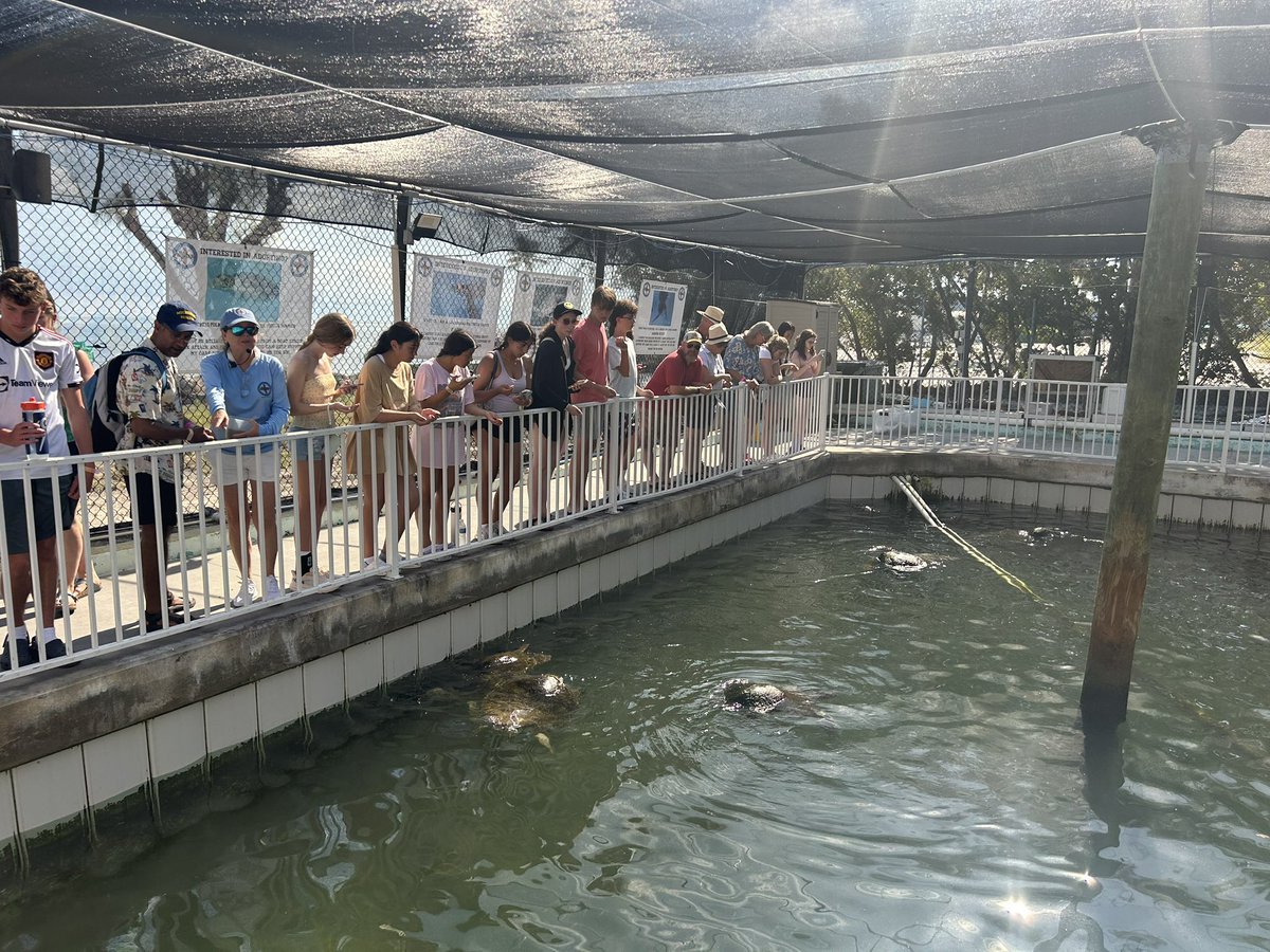 zimmera's tweet photo. Lots of learning and appreciation for all the work of the Turtle Hospital. https://t.co/MAMPB9tZdX