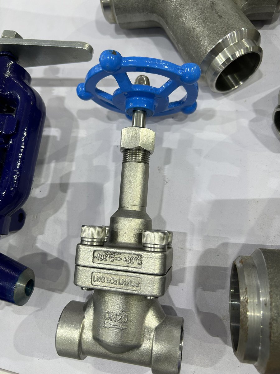 Cryogenic forged valve
