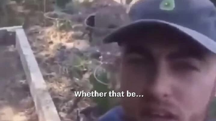 𝔃𝓪 tweet media