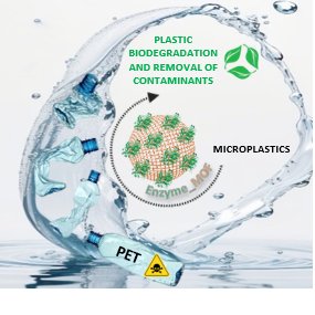 After hard work...here is OUT👏👏 

🔝Enz@MOFs for microplastic degradation🔝

🔗…mistry-europe.onlinelibrary.wiley.com/doi/10.1002/cs…

<a href="/IMDEA_Energia/">IMDEA Energia</a> @MOFers2 <a href="/ChemSusChem/">ChemSusChem</a>