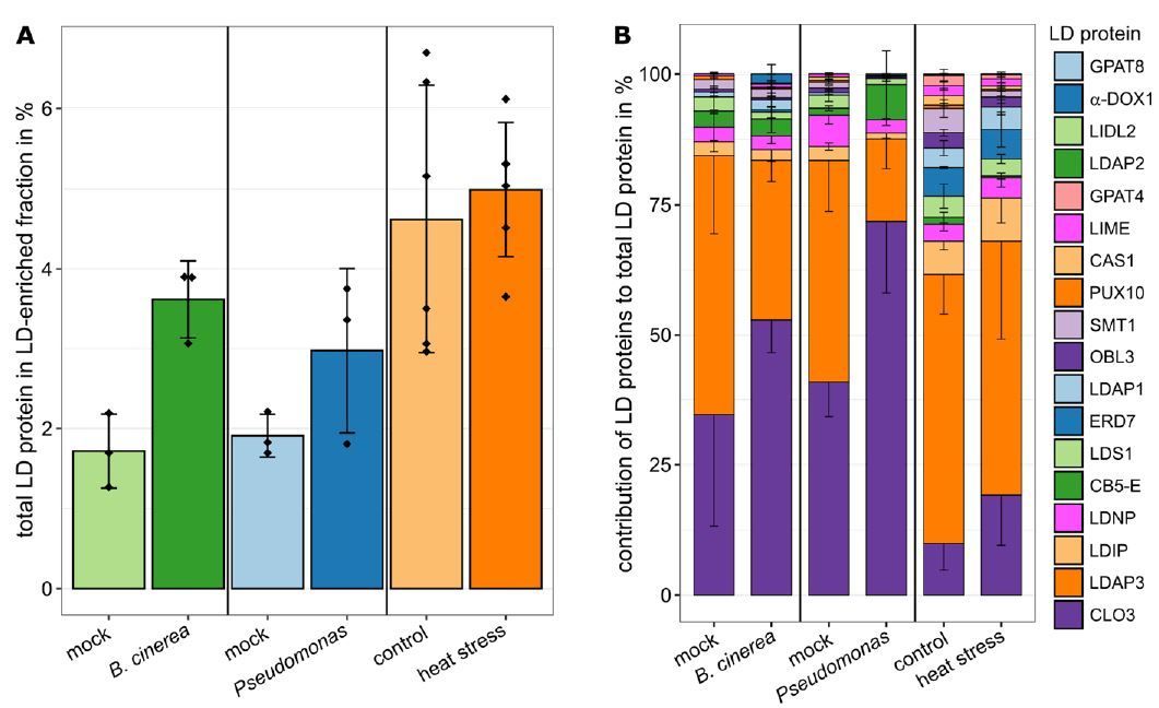 Plasticity of the Arabidopsis leaf lipidome and proteome in response to pathogen infection and heat stress (Patricia Scholz, Nathan M Doner, Katharina Gutbrod, Cornelia Herrfurth, Philipp Niemeyer, Magdiel S S Lim, et. al.) buff.ly/3x4B9Vc @ASPB #PlantSci