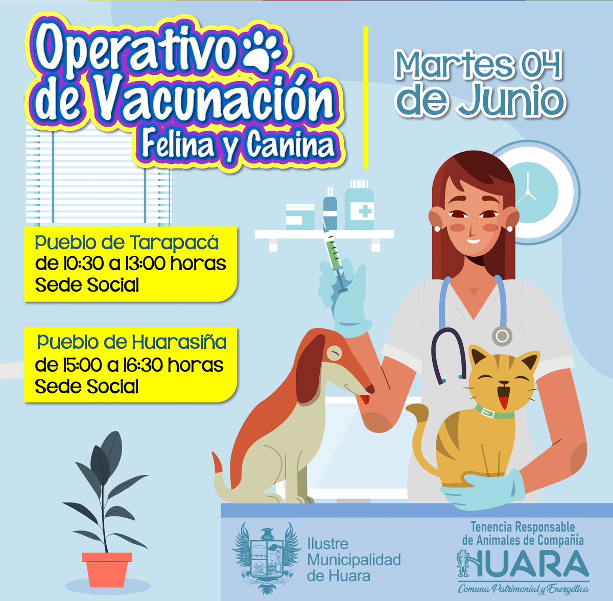 🐶🐱En el Mes de junio, tendremos una serie de operativos veterinarios.

🗓Martes 4 de junio: #Tarapacá y #Huarasiña

Está dirigido a perros y gatos sanos, a partir de los 2 meses de edad.

✴️La atención será sólo con el Certificado del Registro Social de Hogares. 

#Iquique