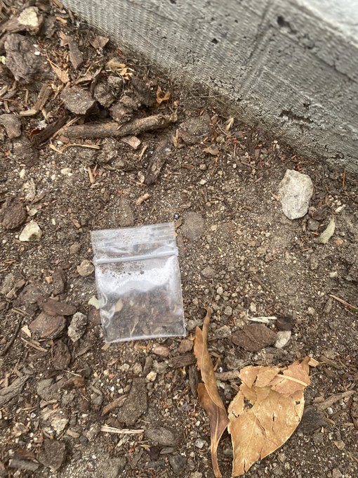 Look at this tiny sandwich bag I saw in the flower bed! I can&rsquo;t even imagine a sandwich this teeny!!