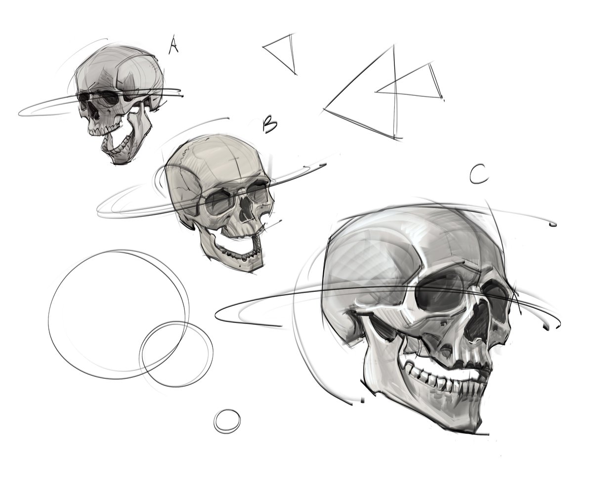 saqomolo's tweet photo. Morning skull sketches! #skulls #momentomori #drawing #humananatomy #sketches #doodles #art #gottogetbetter #gesturedrawing #figuredrawing #bones #skeleton #teeth #maxillary #zygomatic #temporalplate #cranium https://t.co/PoZYj4c6nM