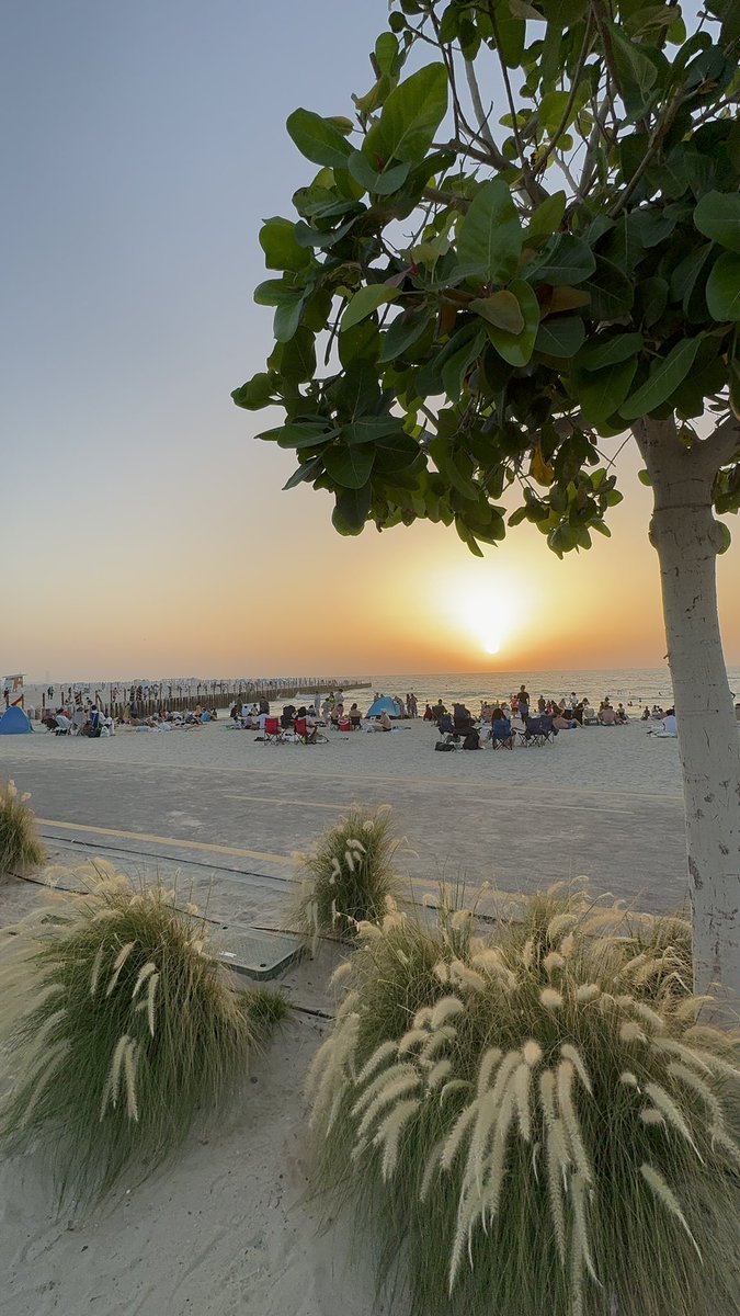 طبّارة 🇯🇴 tweet media