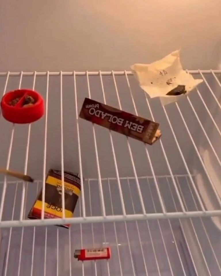 ihlombrei's tweet image. Só o básico