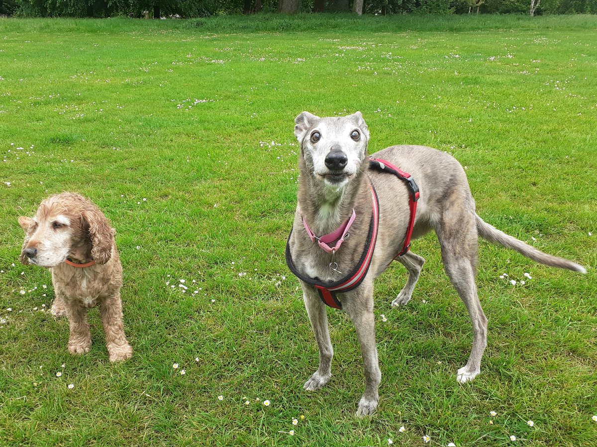 When you're told there are no gravy bones left....