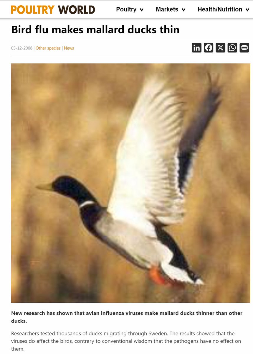Culling is a useless strategy. The gain-of-function bird flu is spreading by migratory water fowl including mallard ducks. Every poultry flock and herd of cattle likely will get infected. Cannot stop it. Best to develop an observational strategy and let the livestock develop