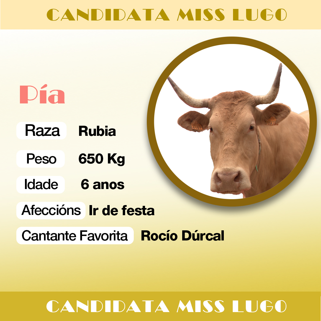 luartvg's tweet photo. 🐮 A segunda candidata de Lugo é Pía e chega dende Baralla. Esta rubia de 6 anos estaría encantada de representar a súa provincia no #Missvaca2024 👑
#Luar1399 https://t.co/1WSMWWA9P6