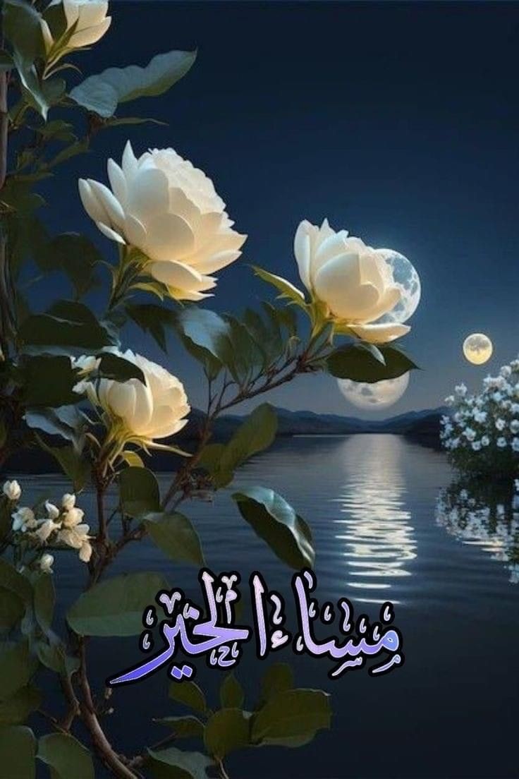 @Ryaman02 @QdiKh99486 @AldylmyMth28799 @Aldy93669 @glalah5 @tgryd1010 @Swdybyr7S @HinaRehman66 @masyauki @sopiti3 @1_sfa1 @alhodyqy @mramramy2 @yacoc72 @alrawy55 @cowexo1970 @6mjdh6 @lmlk122 @lwryl32 @disogag734 @Amitdass44 @ArbindK01912519 @drya74 @mhnd86338134357