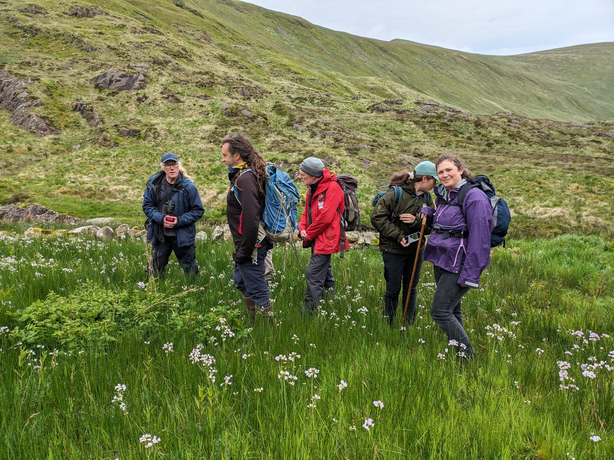 Borders Forest Trust (@bordersforest) on Twitter photo A big thanks to the wonderful botanists, <a href="/AverisBen/">Ben Averis</a>, and @AlisonAveris, experts in upland ecology, who led two fascinating training days for BFT volunteers and staff at Talla and Gameshope. A big thanks to the wonderful botanists, <a href="/AverisBen/">Ben Averis</a>, and @AlisonAveris, experts in upland ecology, who led two fascinating training days for BFT volunteers and staff at Talla and Gameshope.