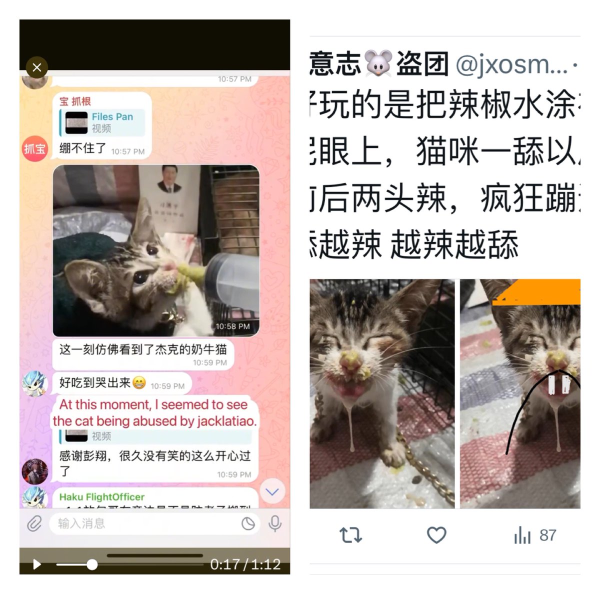 marina60833's tweet photo. Is it really you JackLatiao, Zu Zhihui, chinese food blogger and cat in blender man? Or this some of your gang members maby? What you think? Have a look. @jxosmcodmx41838 There is fresh cat torture material too @MFA_China @SpokespersonCHN @CGMeifangZhang @AmbZhengZeguang https://t.co/FvhFe5Wk63