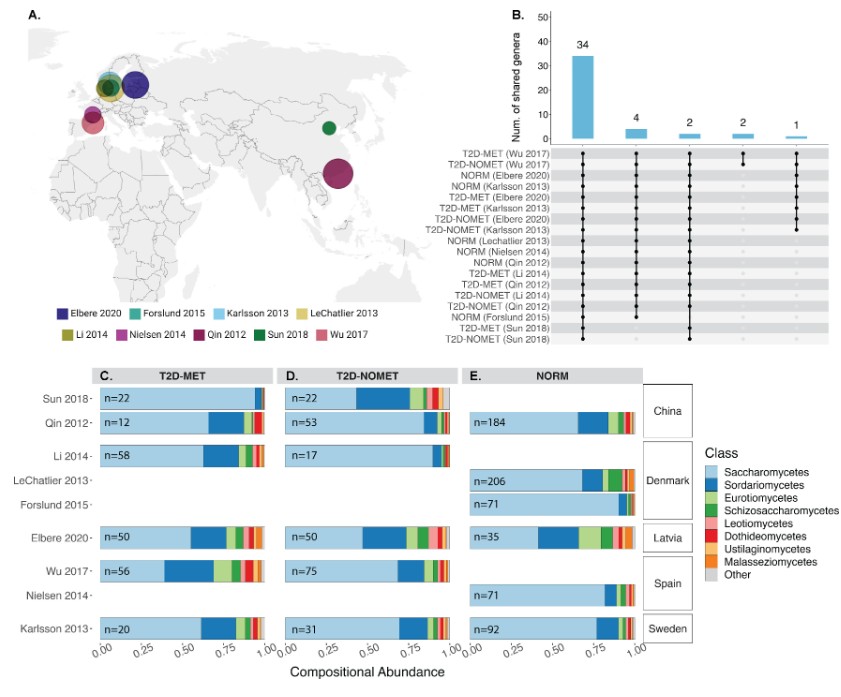 Metformin can confound associations of gut fungi with type 2 diabetes, highlighting the need to consider pharmaceutical interventions when investigating links between metabolic diseases and gut microbial inhabitants. Read the paper in @mbiojournal: asm.social/1Tq