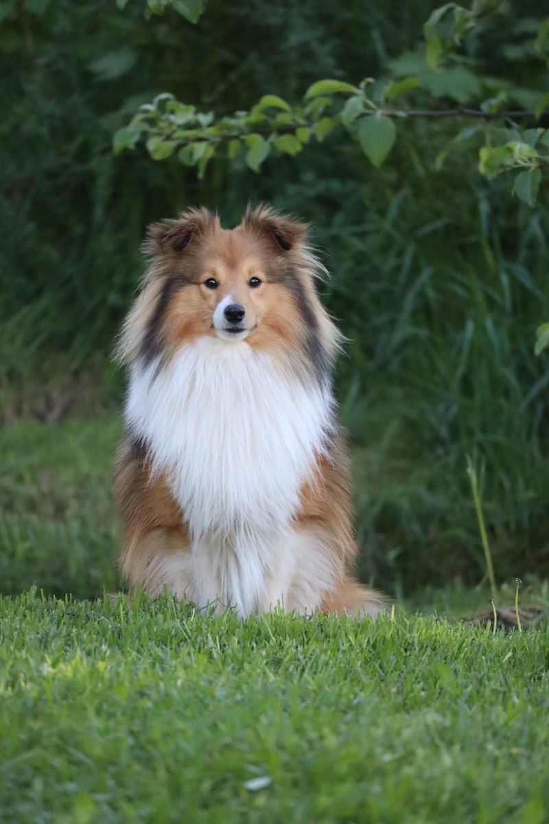 Charlotte tweet media