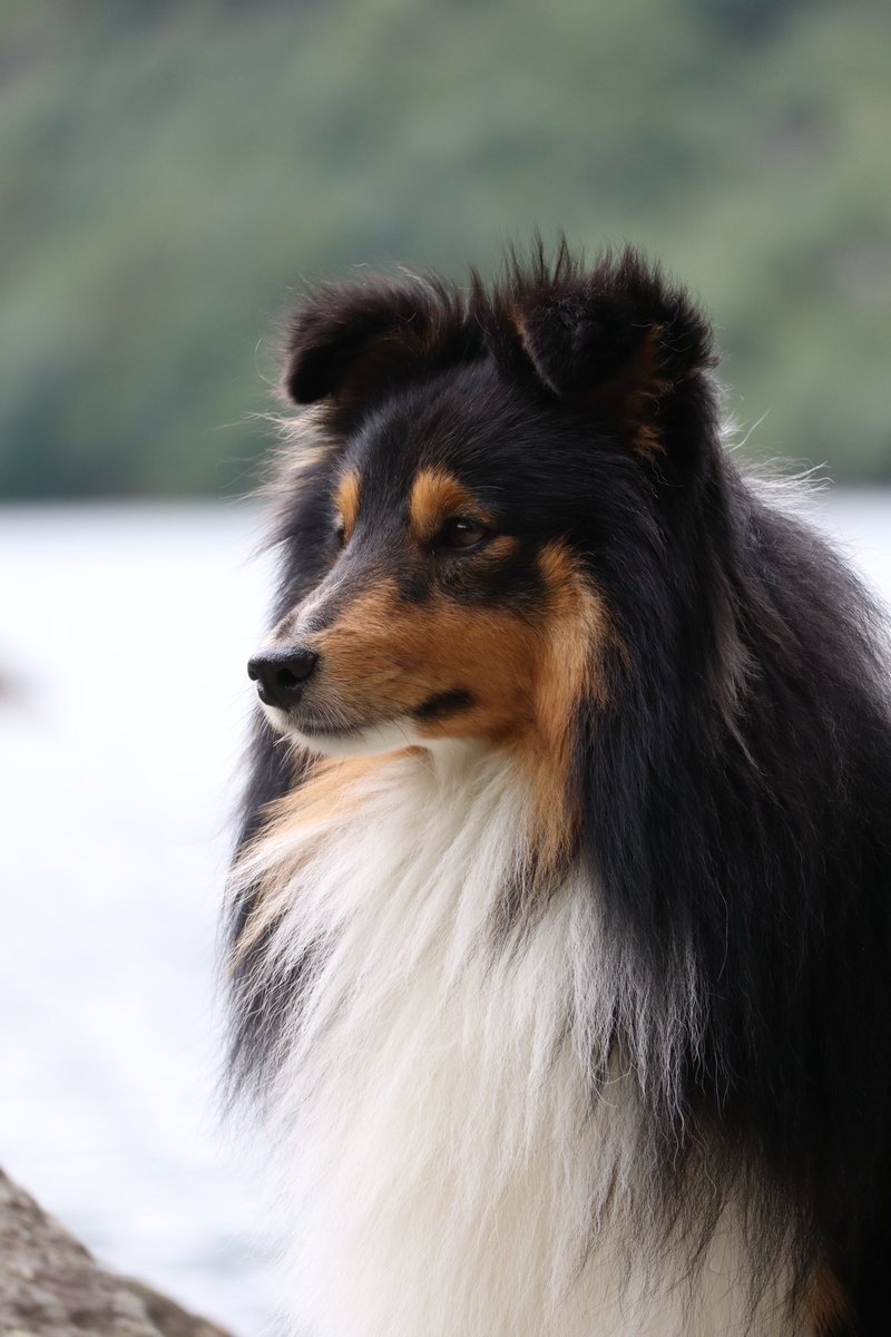 Charlotte tweet media