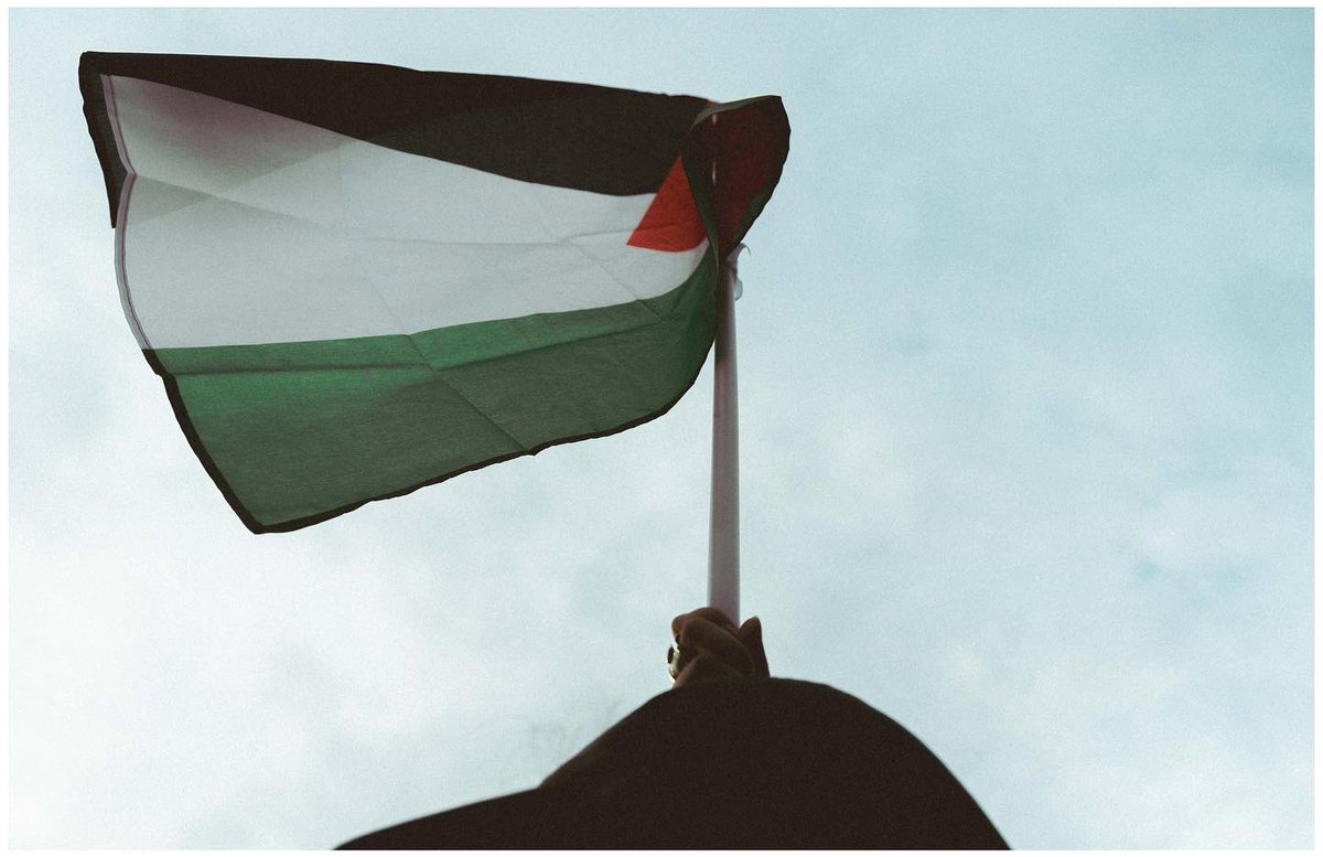 SynnJu's tweet photo. Mobilisation en soutien à la Palestine 
Paris, France 
🇵🇸❤️💚 https://t.co/Pjjf6I70AB