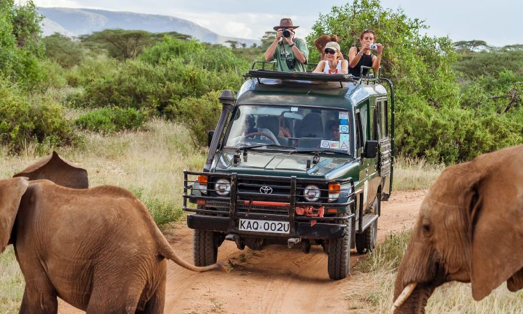 kayta_tours's tweet photo. Let Kayta Tours and Travel take you on an unforgettable Kenyan adventure. From safaris to serene getaways, experience it all. 🦒🌿#KenyaExploration #KaytaExperience 
julius malema coward riggy g #SAElections2024 farouk kibet rachel ruto gachagua president william ruto diddy raila https://t.co/05h67xi3A1