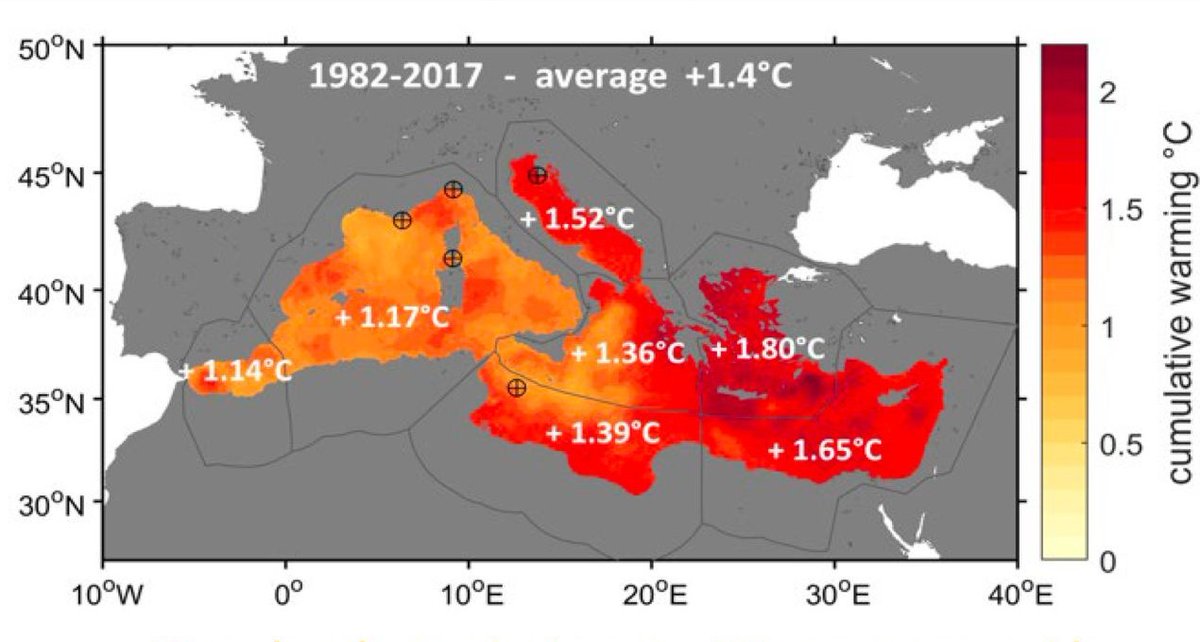 🌡️ El Mediterráneo: un punto crítico del cambio climático

Entre 1982 y 2017, la temperatura del Mediterráneo ha aumentado +1,4 °C, entre 3-5 veces más rápido que la media del océano.