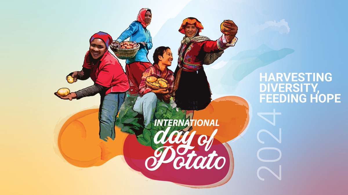 CGIAR's tweet photo. We celebrate #InternationalDayOfPotato! 

Potatoes sustain billions, ensuring food security and livelihoods worldwide 🌎. Let's honor small-scale farmers and the cultural richness of this essential crop.

👉🏽 https://t.co/jObnCJTiyw

🔸 @Cipotato 
🔸 @FAO https://t.co/0hXi1wvc7a