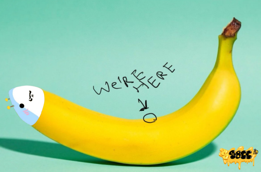 hey $SBEE this is exactly where we are in this bull cycle