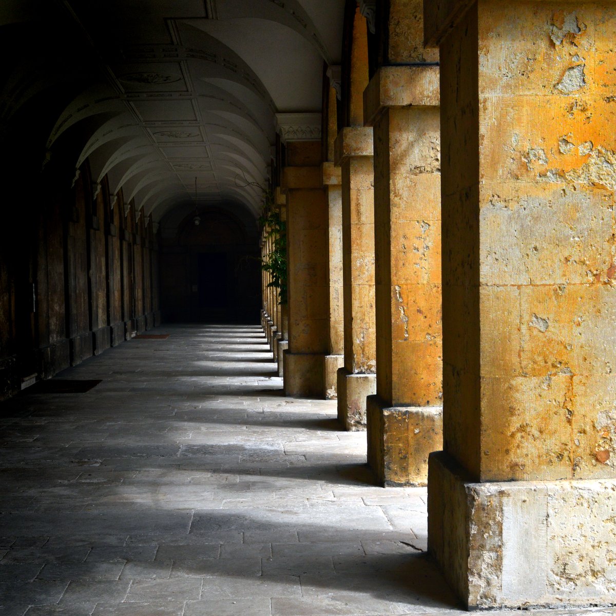 magdalenoxford's tweet photo. New Building colonnade #magicmagdalen https://t.co/yAjB8qZbJB