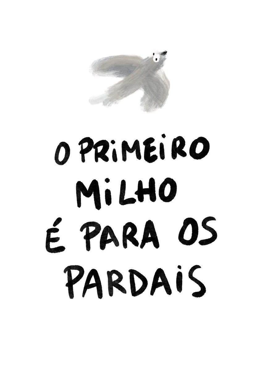 Lia Ferreira tweet media