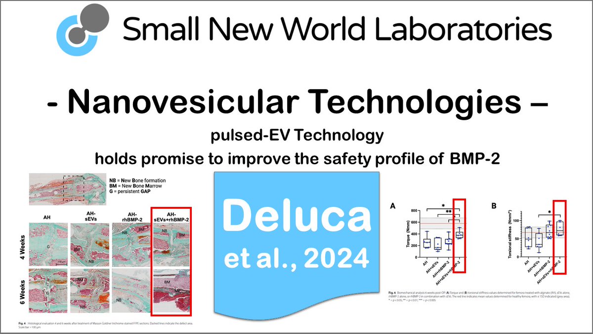 Small New World Laboratories (@snwlabs) on Twitter photo Want to learn more about SNML’s IP protected, pulsed-EV Technology?
Visit our homepage: snwlabs.eu
Get in contact: office@snwlabs.eu
#snwlabs #nanovesiculartechnology #extracellularvesicles #exosomes #nanovesiculartherapy #atmps #biologicals #theralytics #gmp #atmp Want to learn more about SNML’s IP protected, pulsed-EV Technology?
Visit our homepage: snwlabs.eu
Get in contact: office@snwlabs.eu
#snwlabs #nanovesiculartechnology #extracellularvesicles #exosomes #nanovesiculartherapy #atmps #biologicals #theralytics #gmp #atmp
