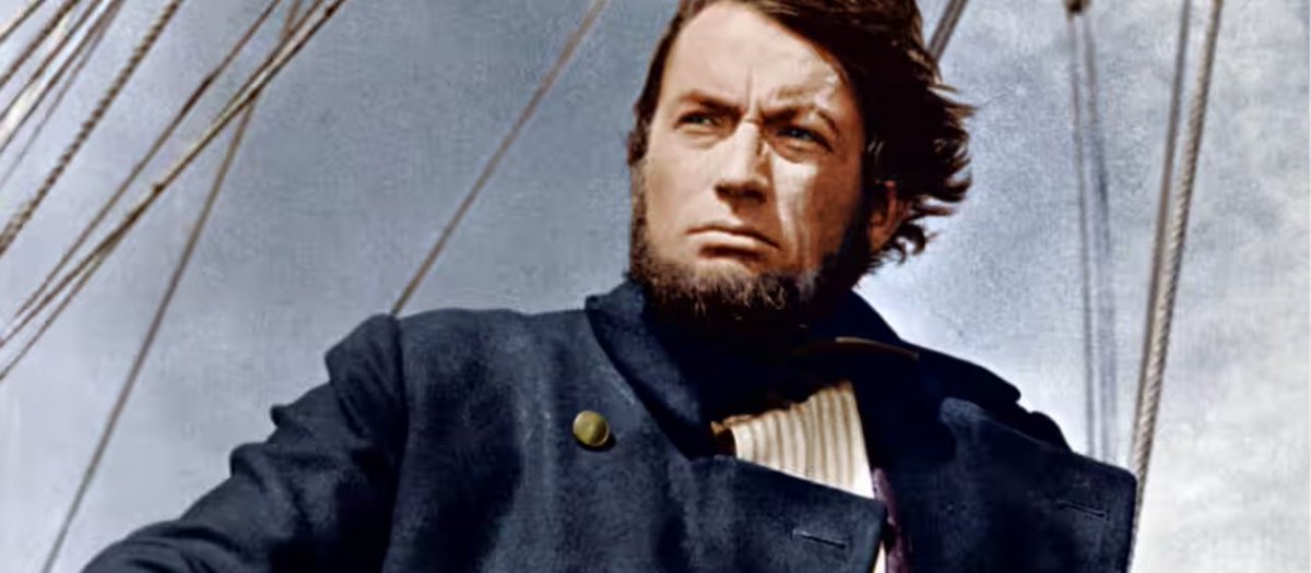 Nate Wolff tweet media