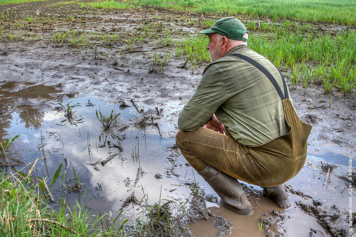 EUAgri's tweet photo. Less paperwork, more farm work!

The 🇪🇺Commission continues to reduce administrative burden for farmers.

With today’s decision on force majeure, farmers will have more certainty to receive their #CAP payments in case of unforeseen &amp; extreme weather events
https://t.co/eR21ycVdpi https://t.co/DCy8zm8ebu
