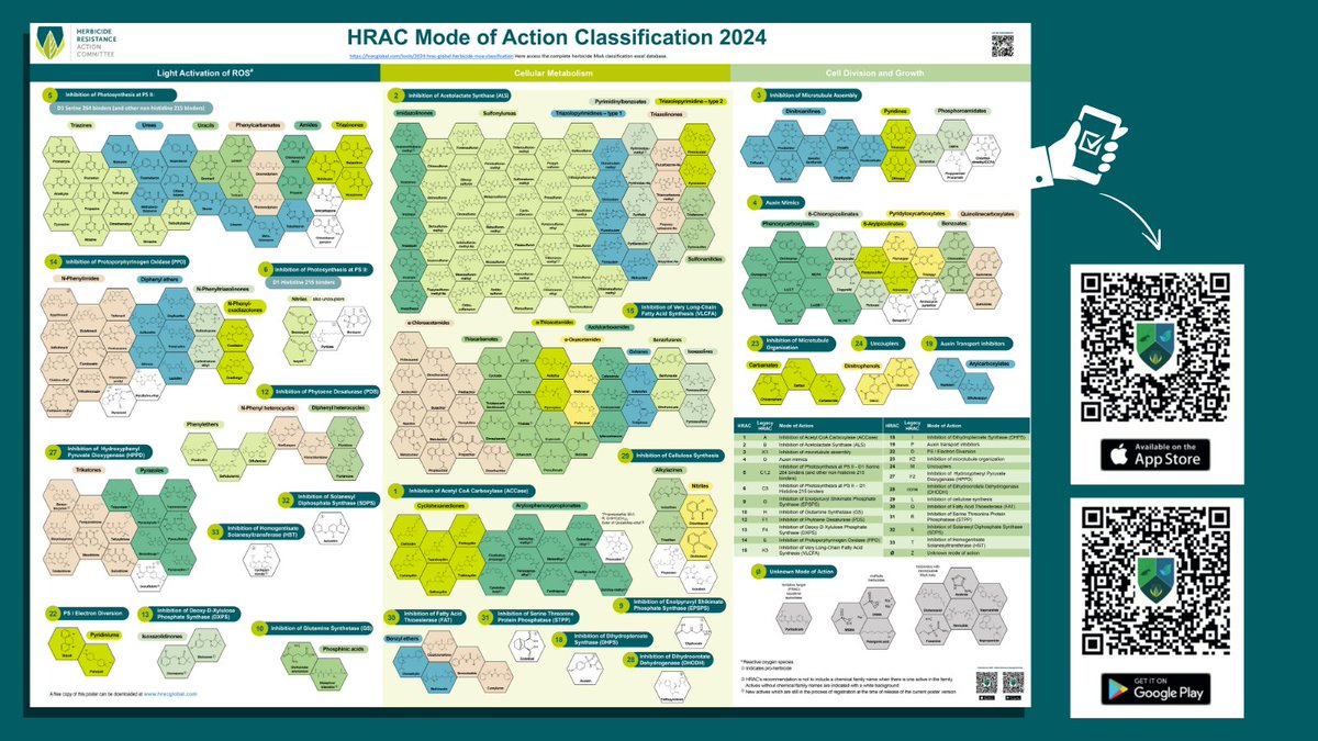 🧪 Está disponible el póster actualizado de Clasificación del Modo de Acción (MOA) de herbicidas x HRAC Global.
Centrado en IA´s + utilizados y relevantes en el mercado y, la clasificación química reflejando evoluciones y desarrollos relevantes.
Sigue...