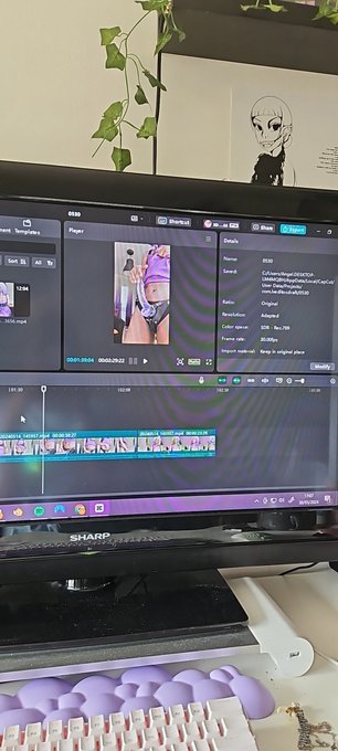 I'm currently editing my toy haul from all the fun things I got from my trip to Amsterdam. The subby