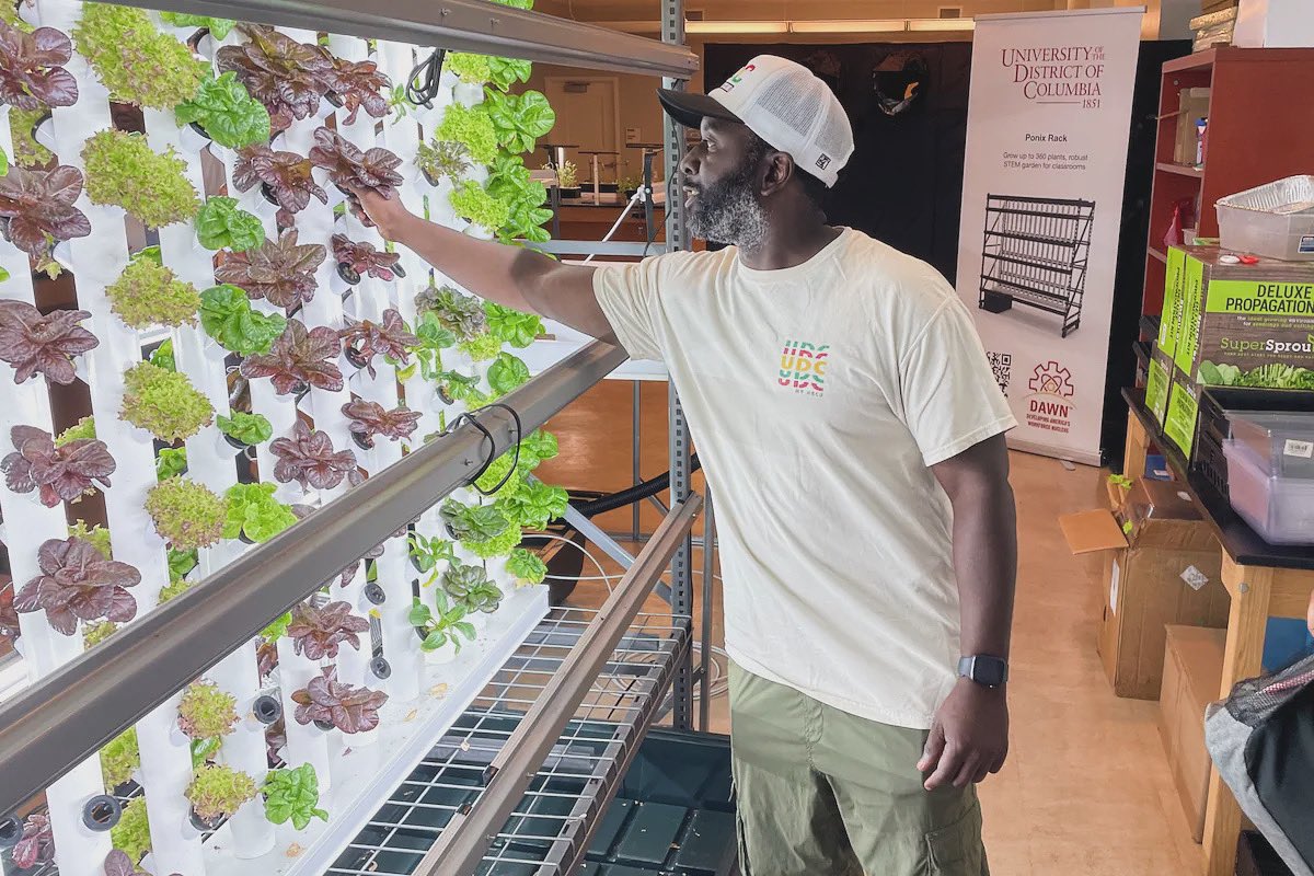 Last summer, 12 @AnacostiaHigh students, transformed a vacant classroom into an eco-friendly hydroponic garden during a six-week internship led by Xavier Brown from UDC. Thanks to our partnership with @universityofdc, they now grow fresh produce with less water and no soil! 🌱💧