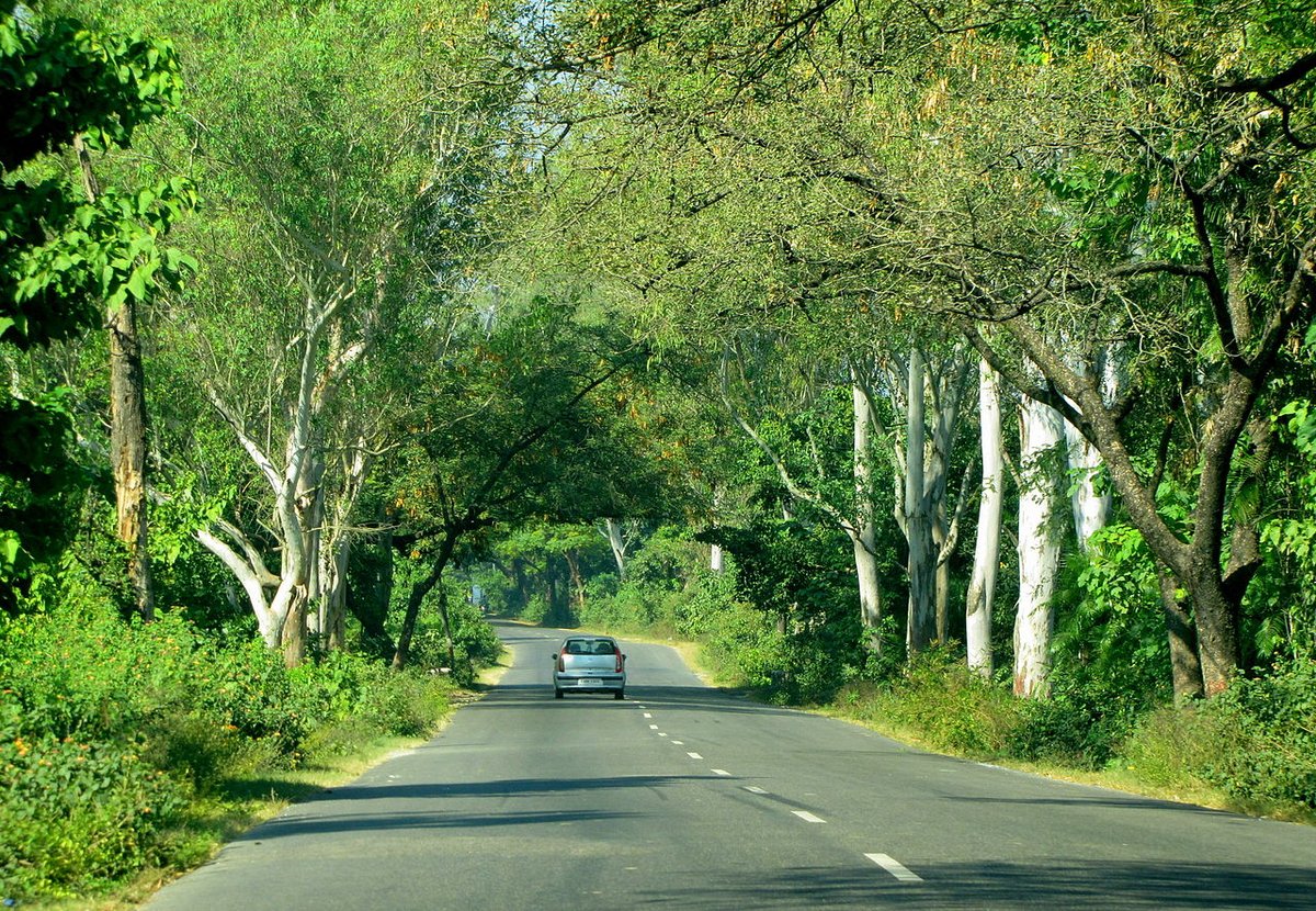 This Dehradun 😪😭

I hope seeing the heat this year, people wake up and start planting/rehabilitating trees. All I see now is traffic and construction. 
Hope you know we are setting up hell for our own future generations.

#Dehradun