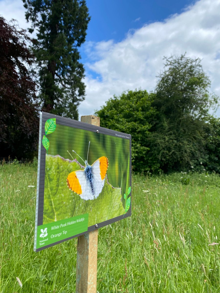 We've been celebrating hidden nature this week for half term and we've been delighted to install our White Peak Hidden Wildlife exhibition which will be out through summer at Ilam Park. Photography credit: Steve Thompson #hiddenwildlife #Ilampark #nationaltrustilampark